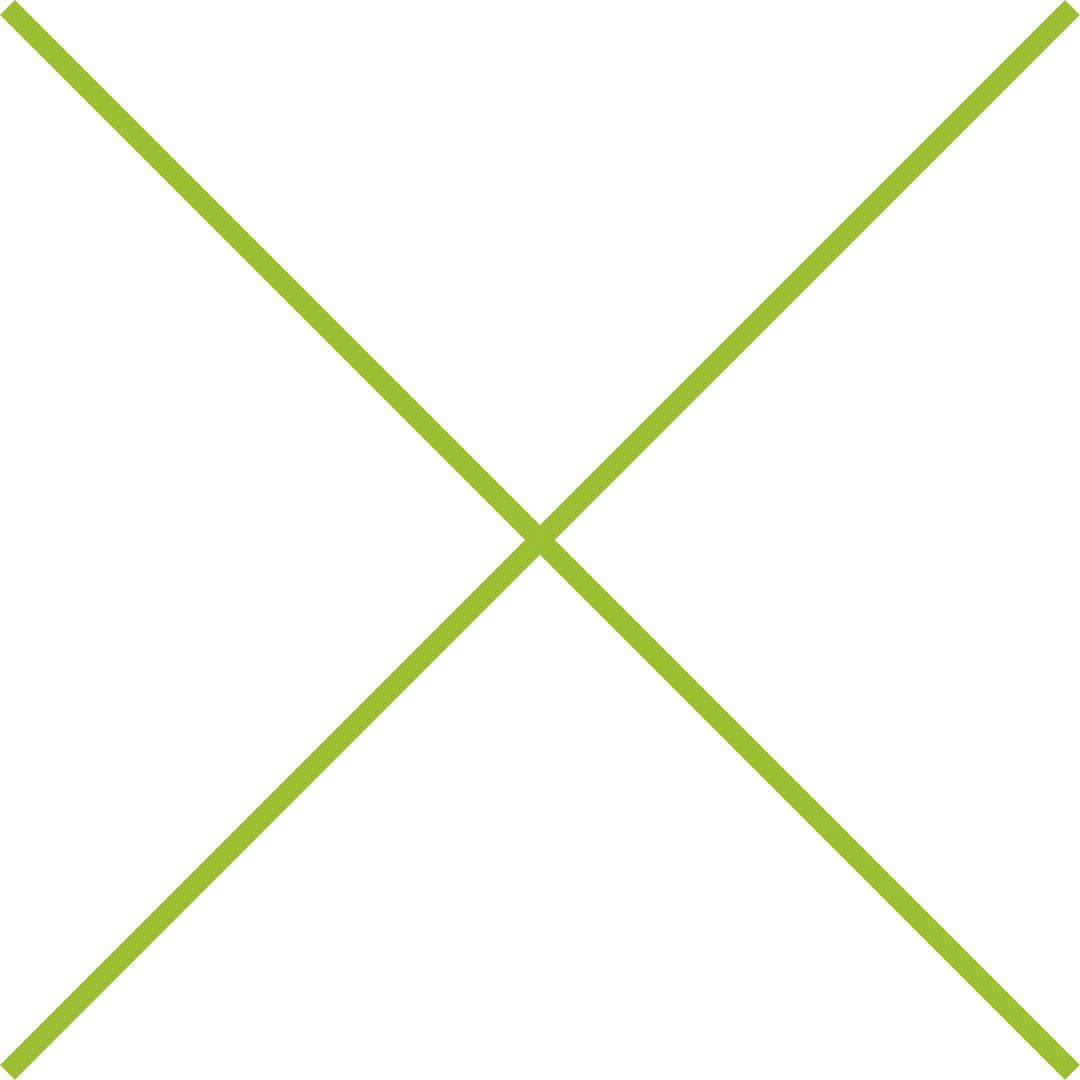 cuatropadel-mx-deco